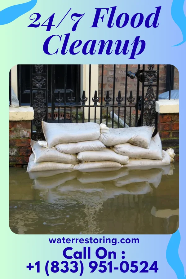 24/7 Flood Cleanup in Carbon Hill, IL