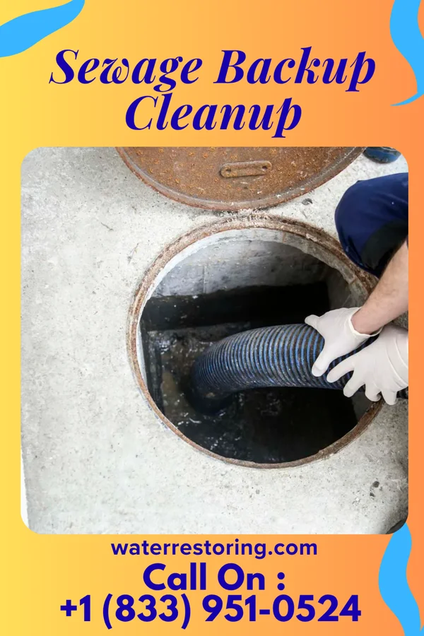 Sewage Backup Cleanup in Carbon Hill, IL